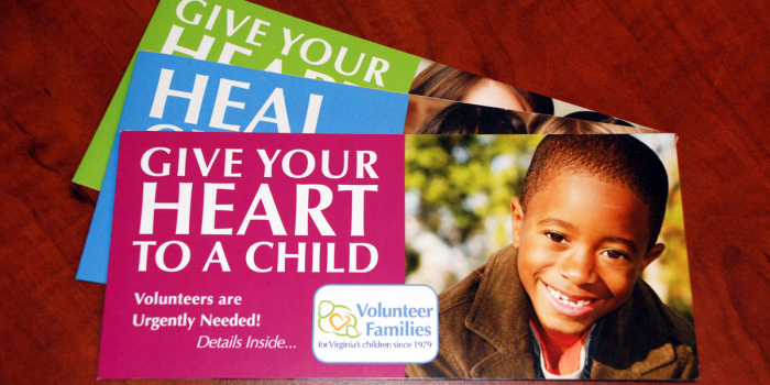 Volunteer Families <h2>Brochure Series</h2>